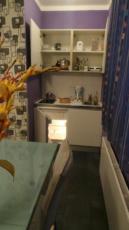 Apartment Sejko เชสกี้ครุมลอฟ ห้อง รูปภาพ