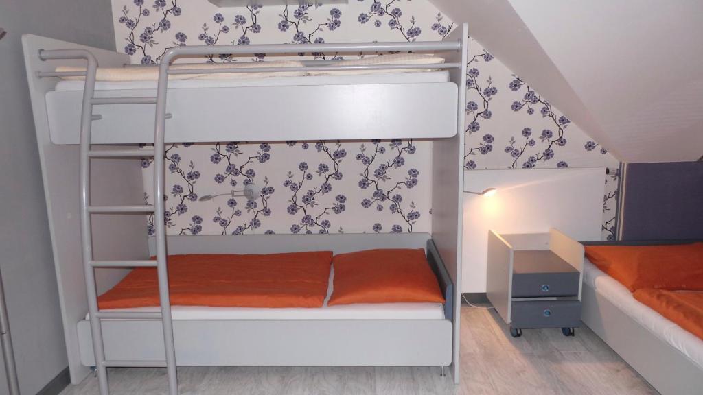 Apartment Sejko เชสกี้ครุมลอฟ ห้อง รูปภาพ